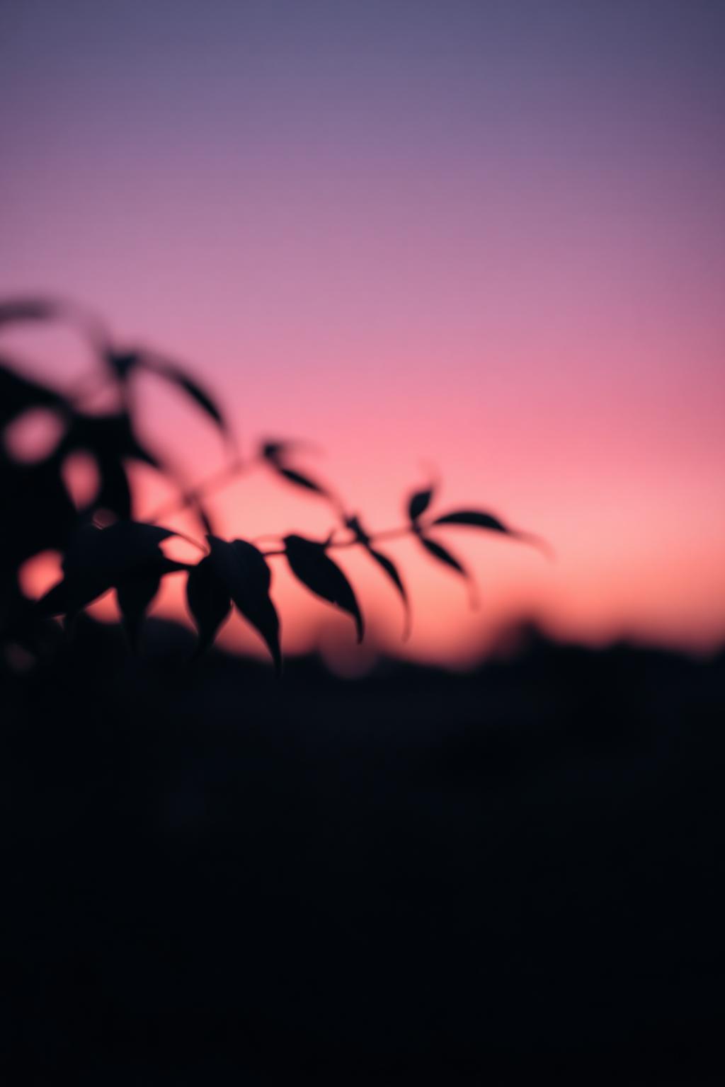 Pink noise — Softer static, weighted to the low end