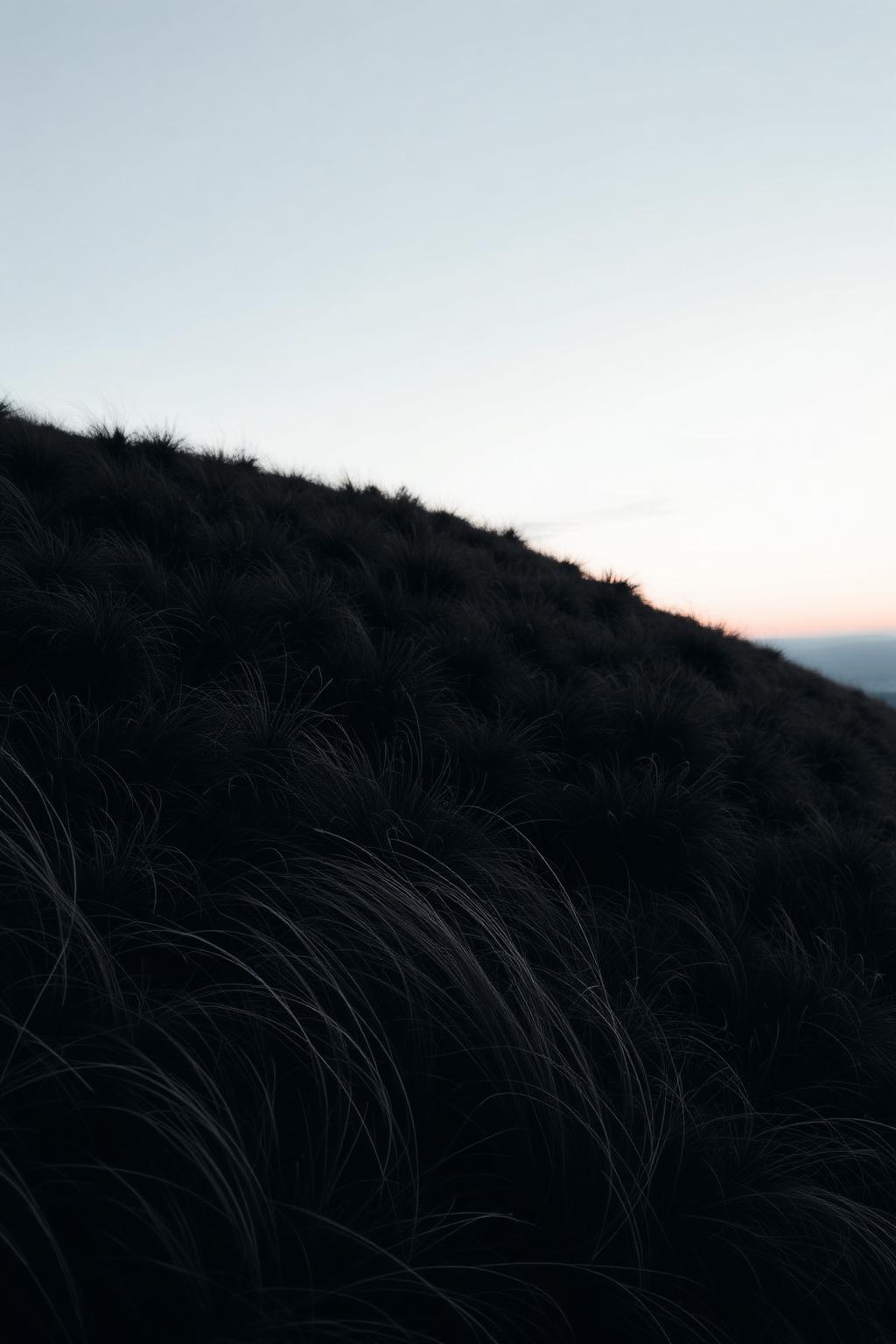 Night wind — Air moving through trees